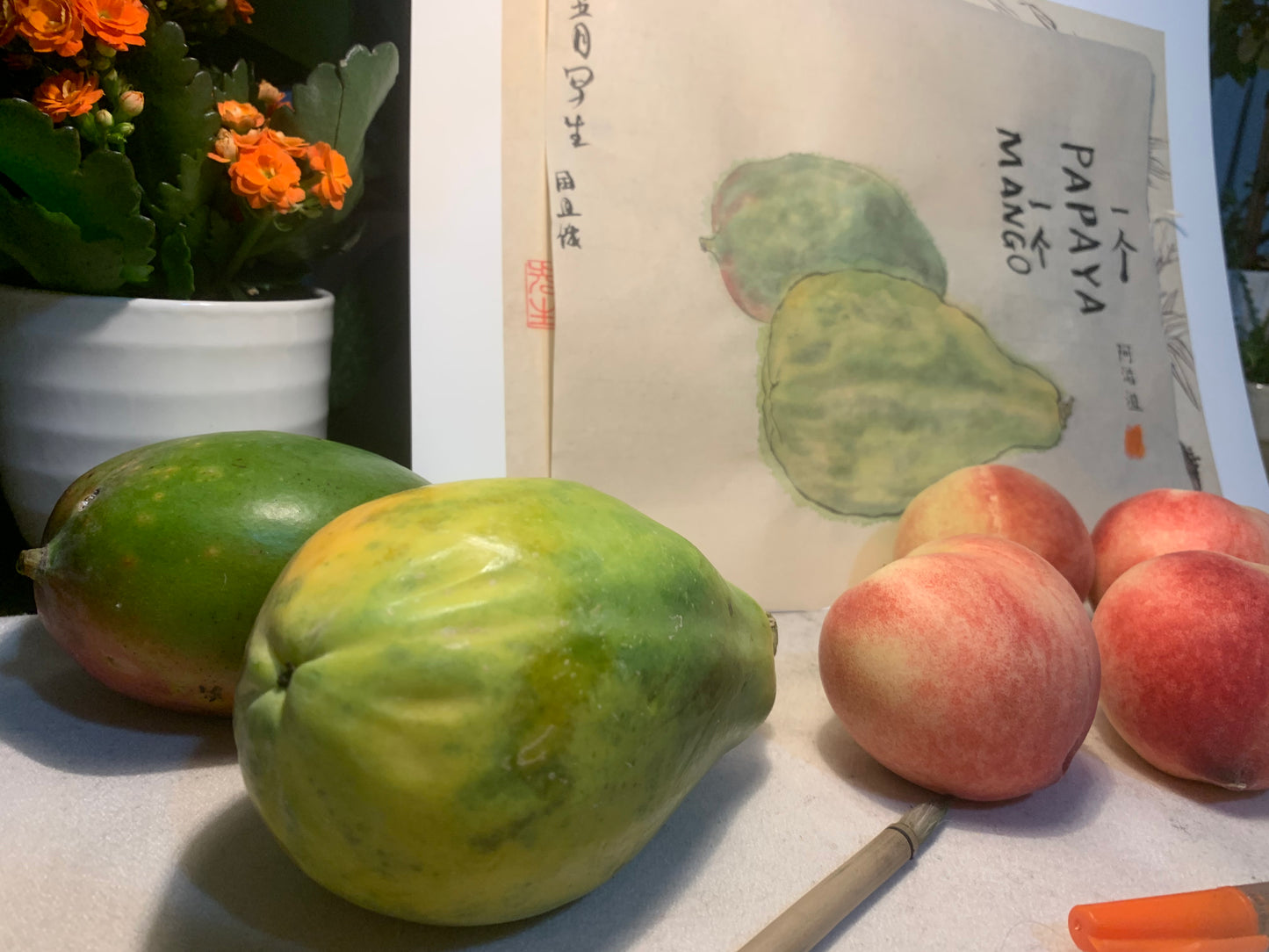 Framed | Unframed Art Print | Watercolour Mango and Papaya
