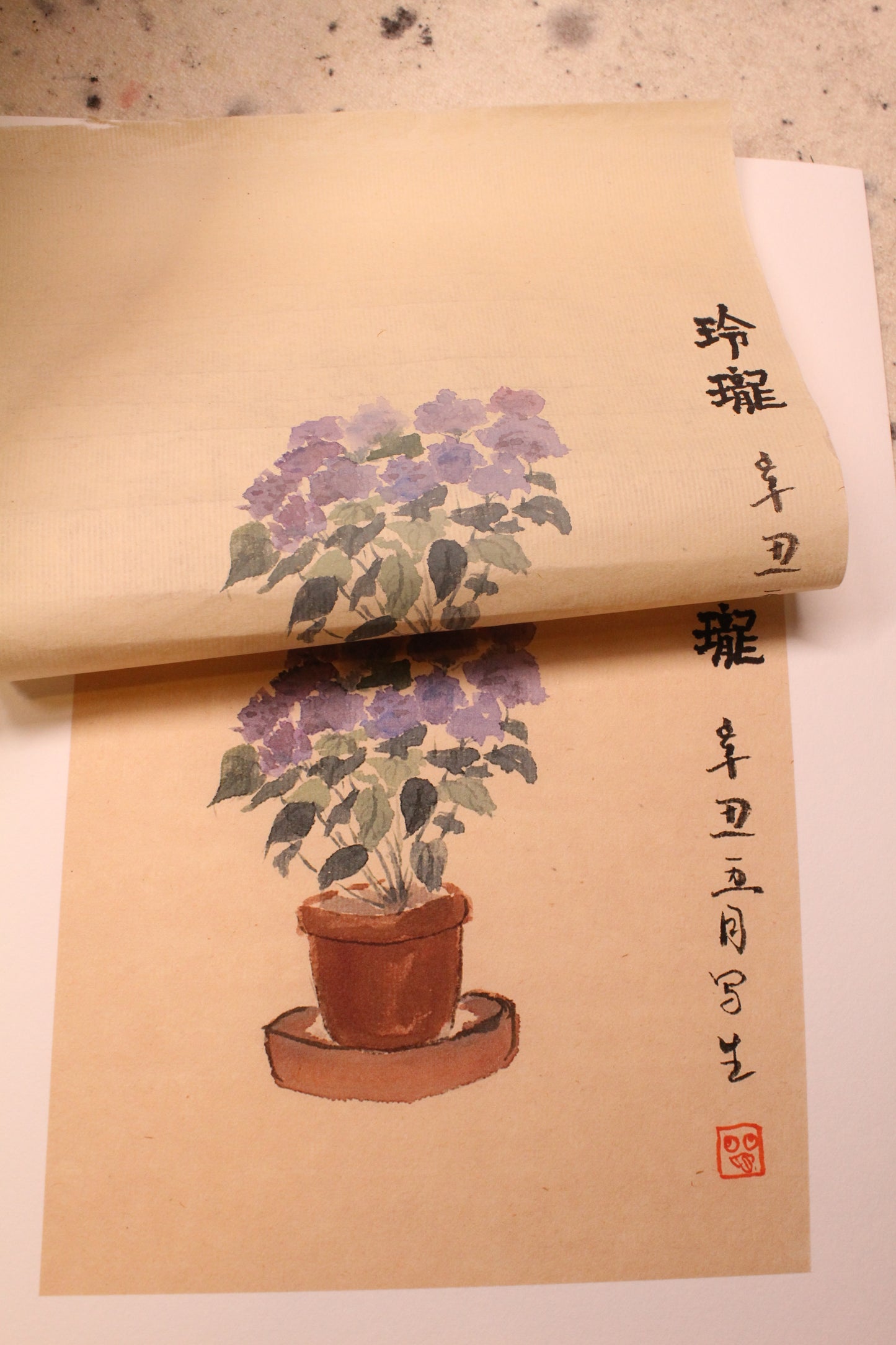 Framed | Unframed Art Print | Hydrangea