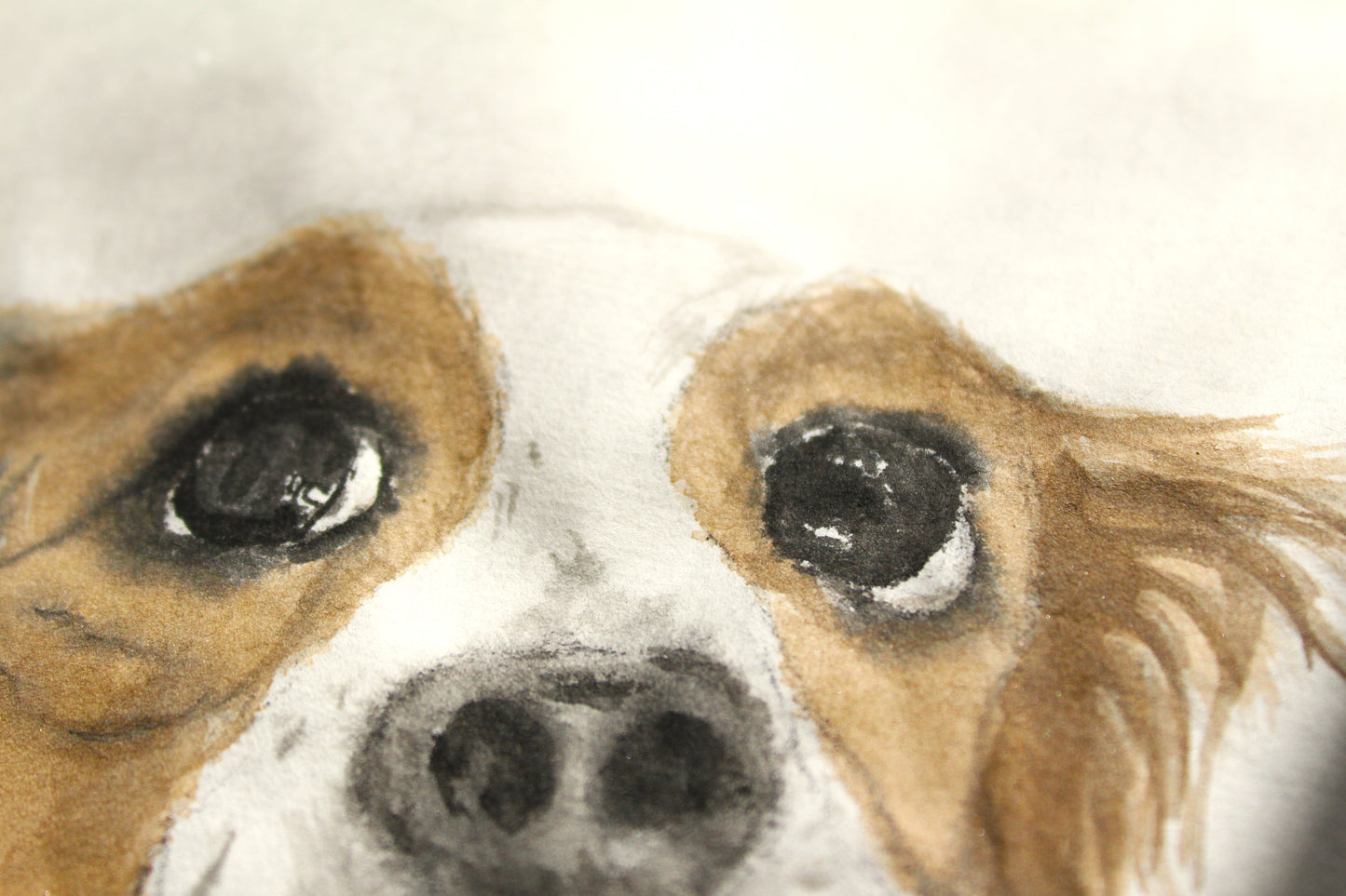Hand Painted Watercolour Pet Portrait