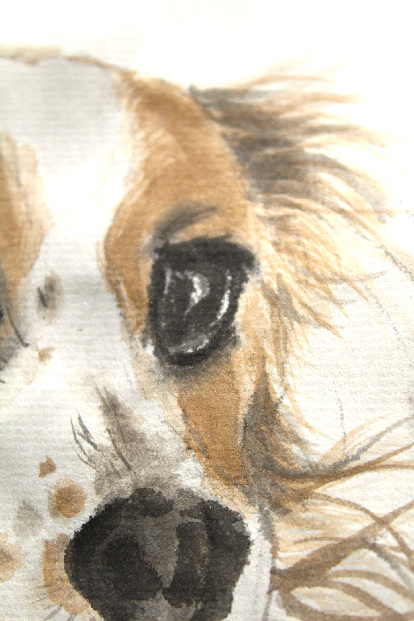 Hand Painted Watercolour Pet Portrait
