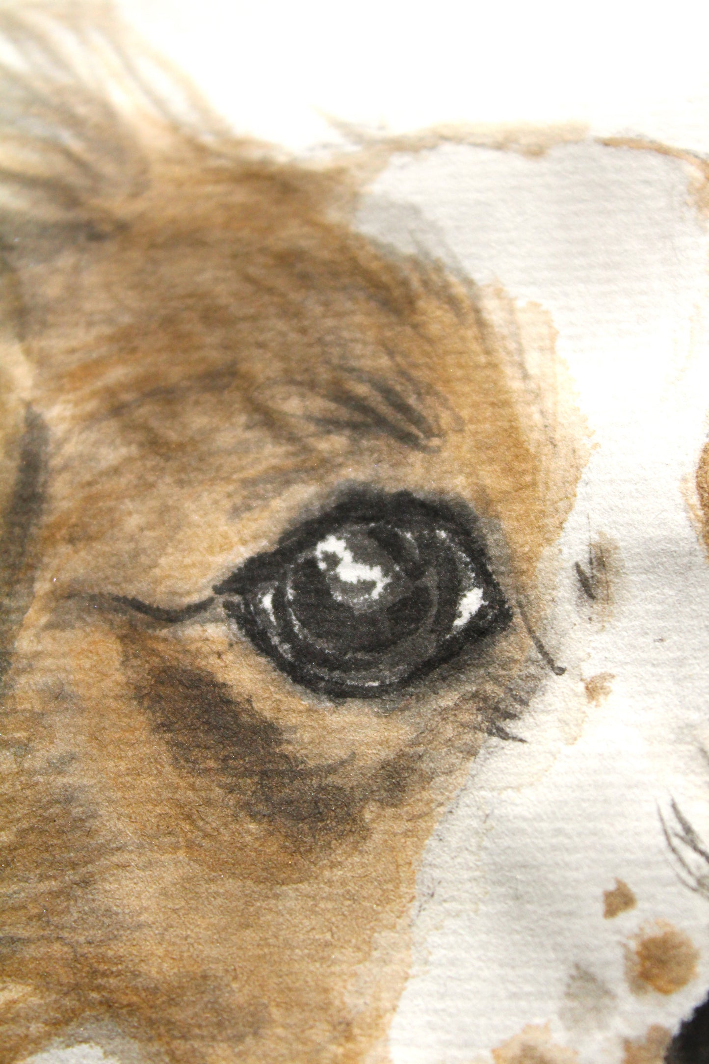 Hand Painted Watercolour Pet Portrait