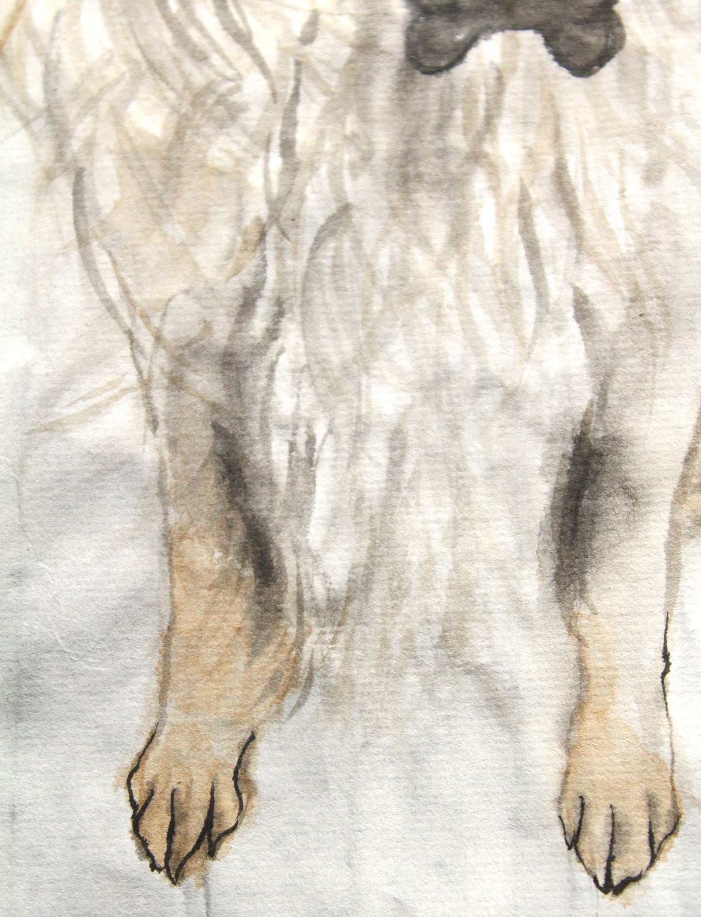 Hand Painted Watercolour Pet Portrait