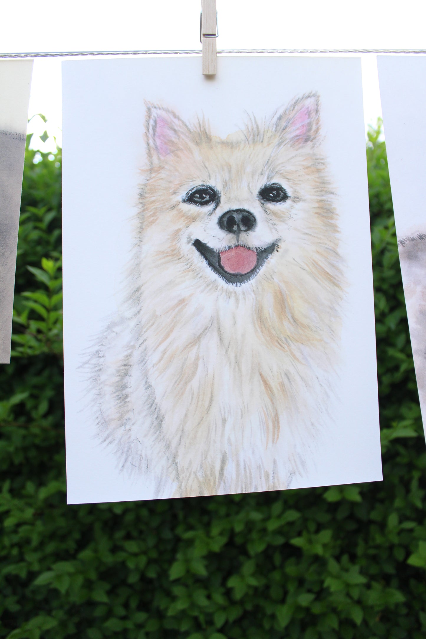 Hand Painted Watercolour Pet Portrait