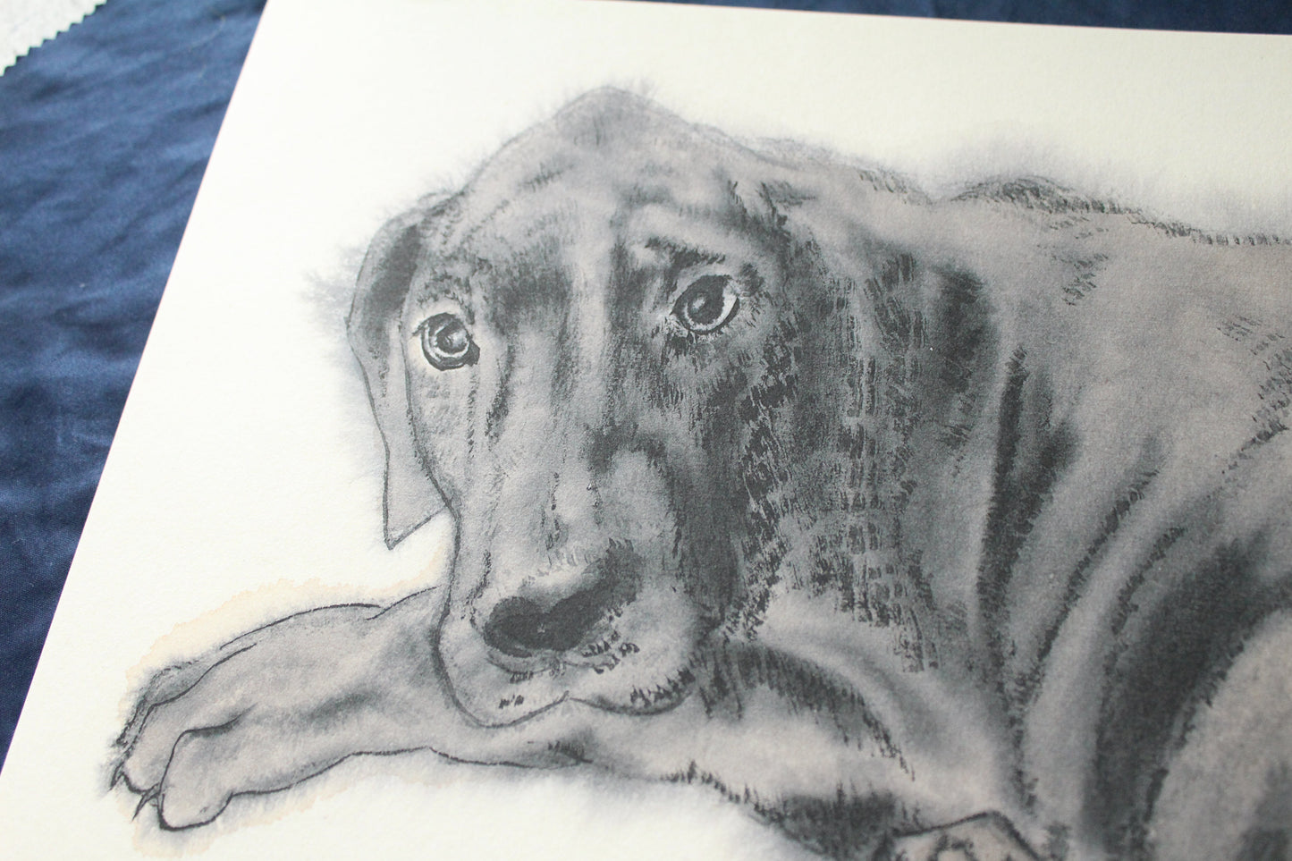 Hand Painted Watercolour Pet Portrait