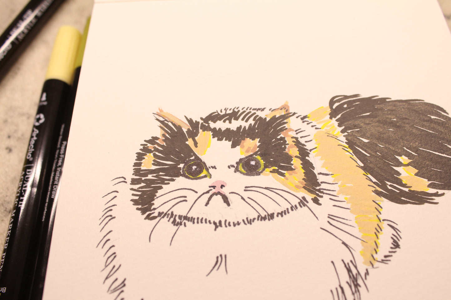 A5 pawtrait with acrilyc pens