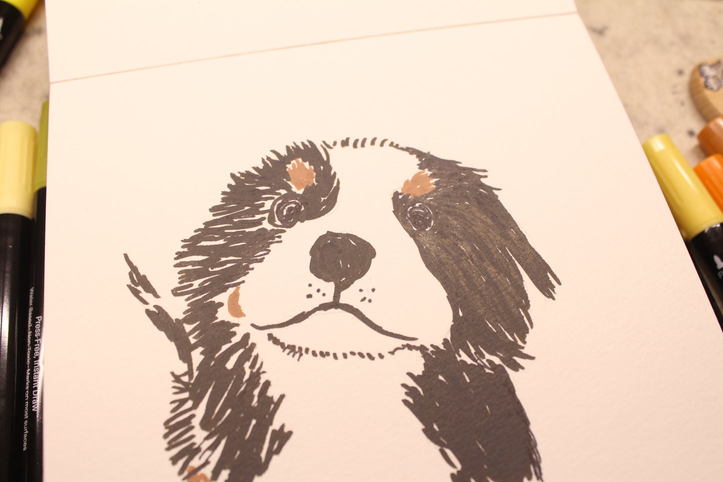 A5 pawtrait with acrilyc pens