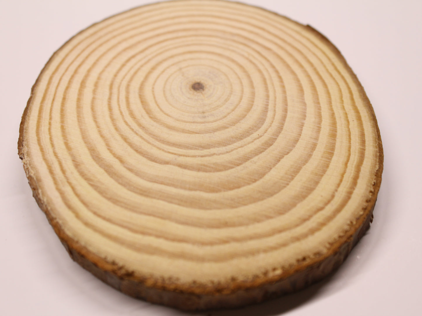Circular Natural Wooden Coaster with Mini Hand-drawn Pawtrait on