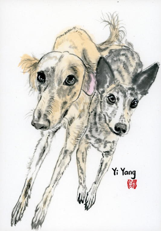 A4 Pet Portrait
