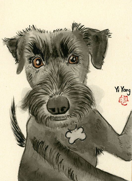 A5 Pet Pawtrait