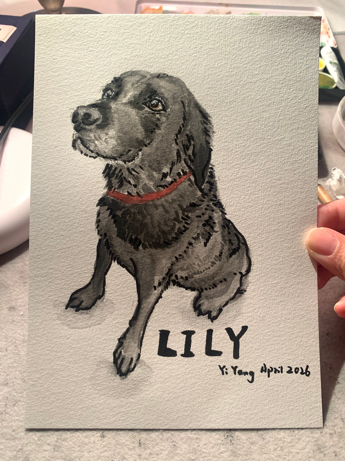 A5 Pet Sketch