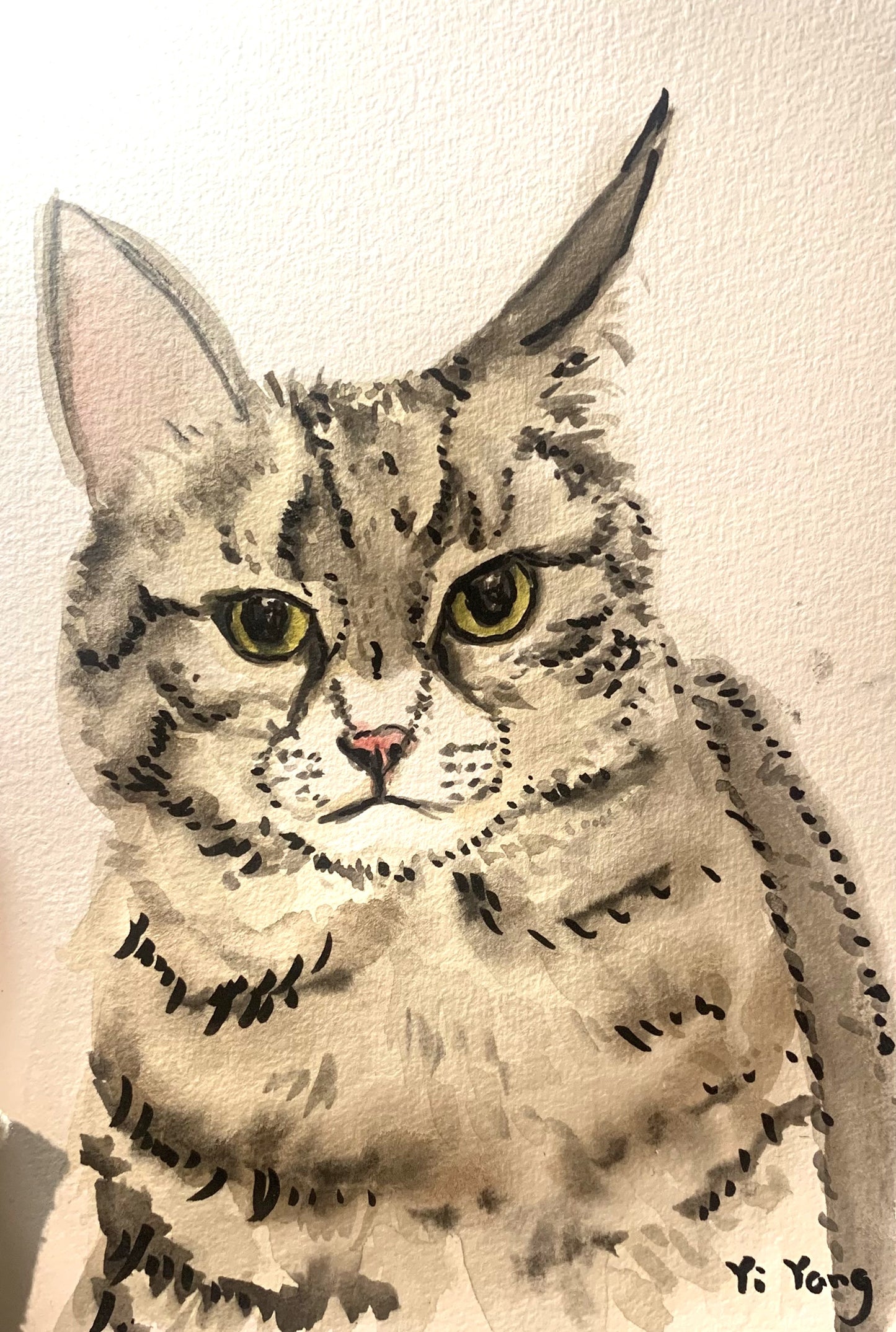 A5 Pet Sketch