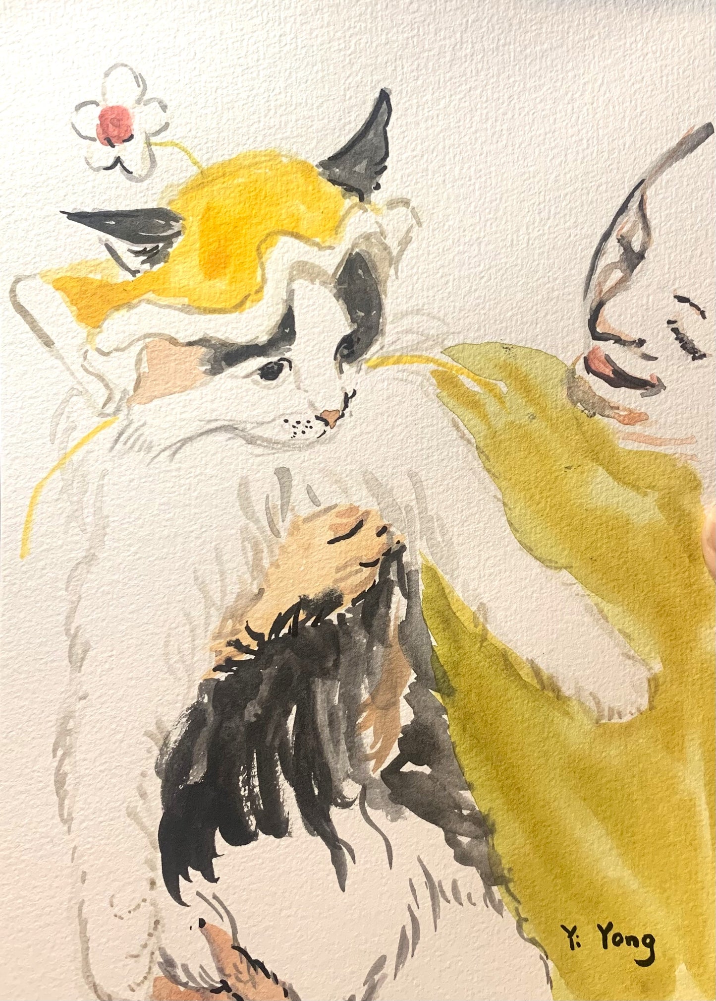 A5 Pet Sketch