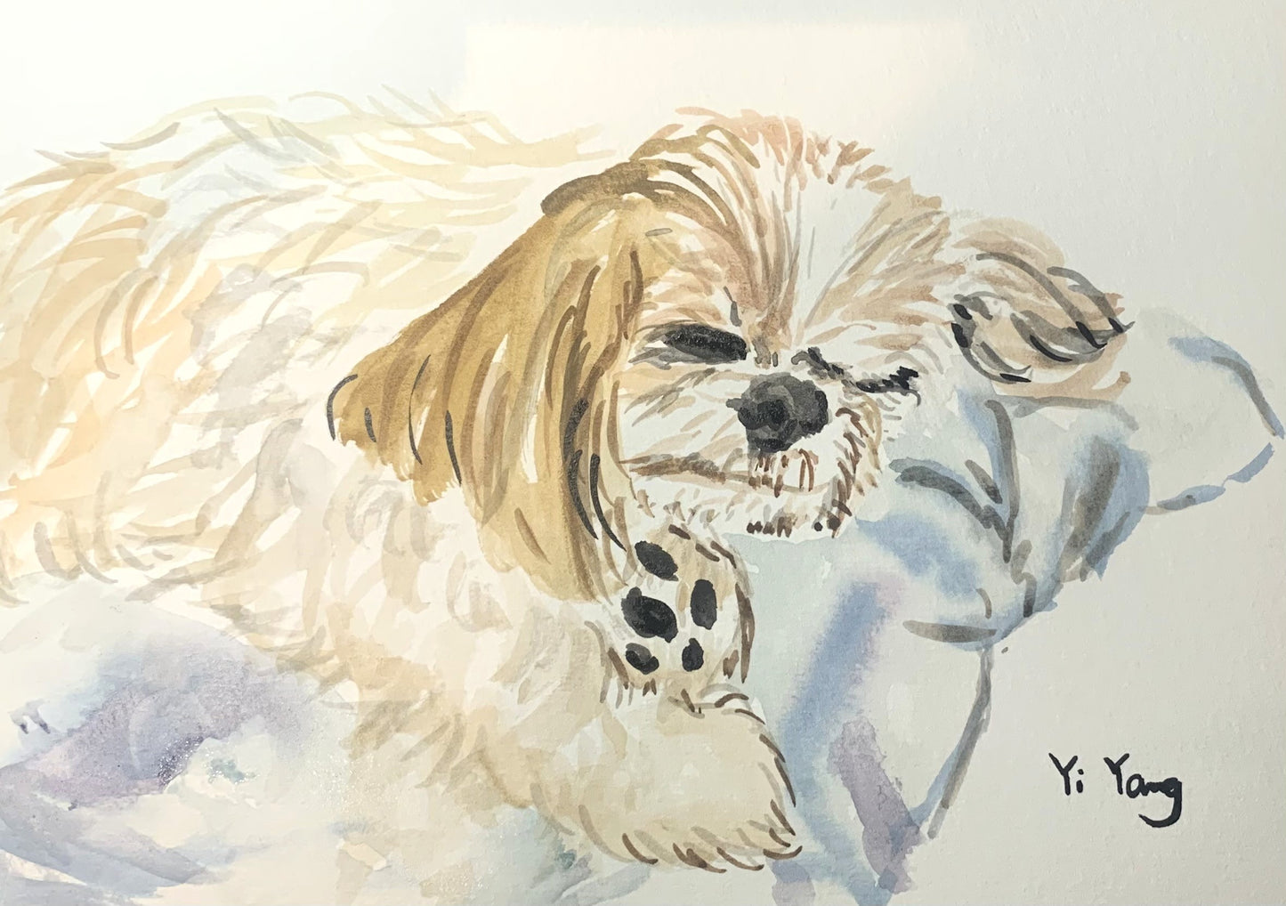 A5 Pet Sketch