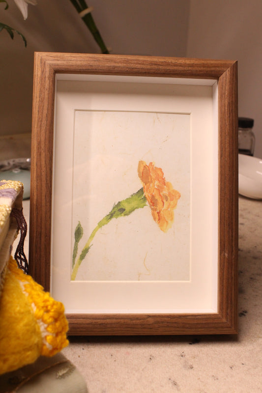 Framed | Unframed Art Print | Carnation