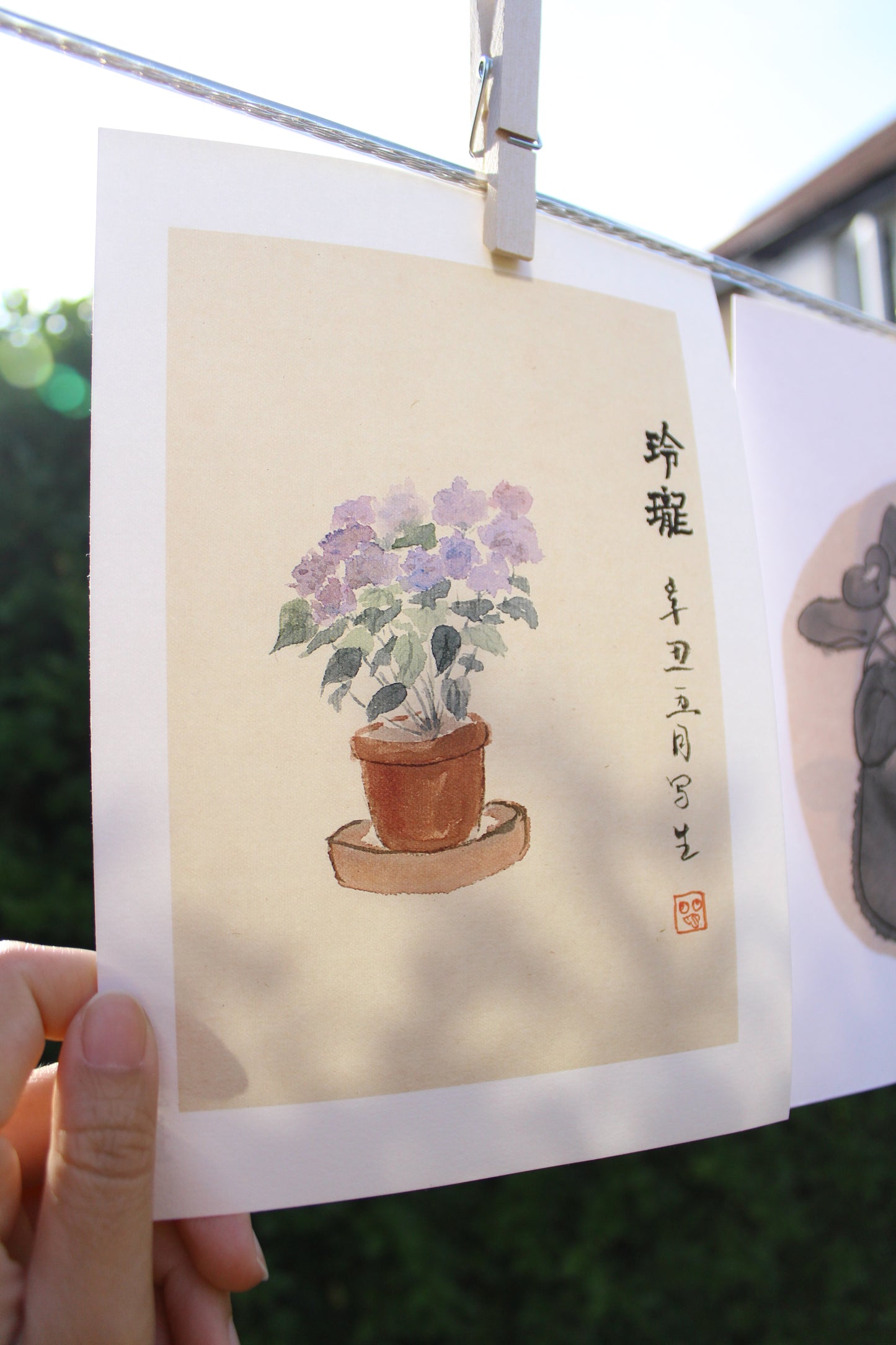 Framed | Unframed Art Print | Hydrangea