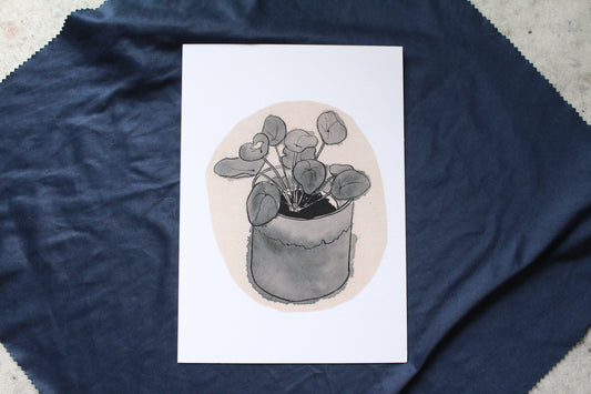 Money Plant