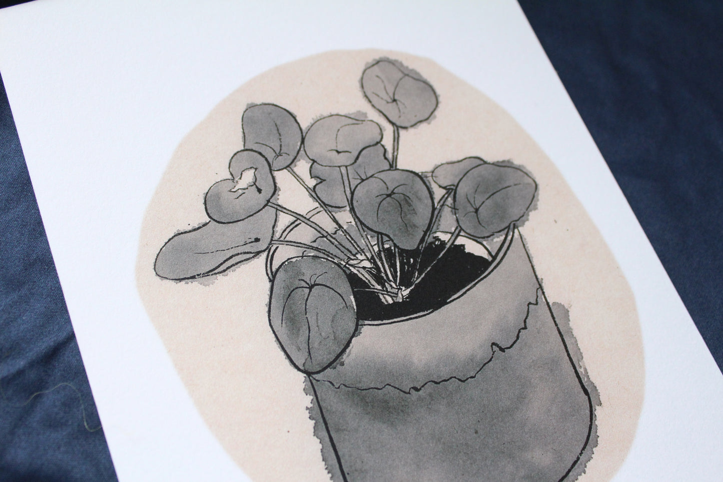 Money Plant