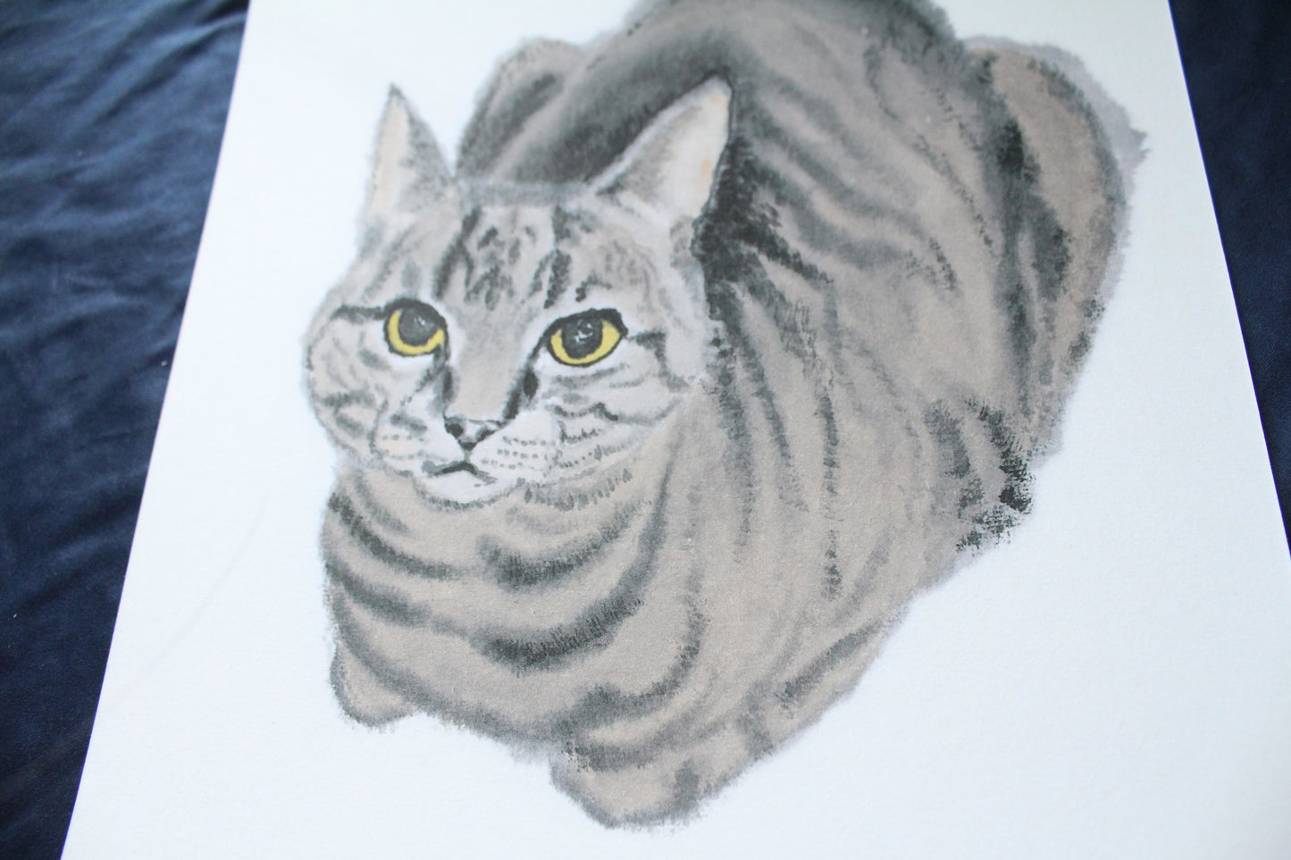 Stripe