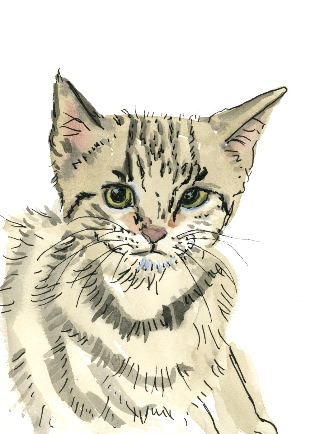 A6 Mini Portrait
