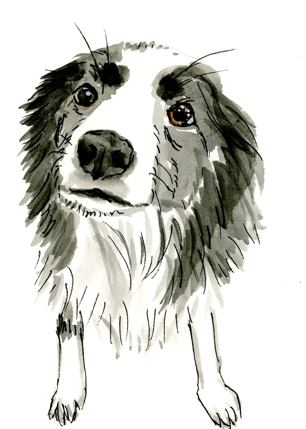 A6 Mini Portrait
